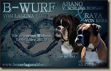 Abano und Rayer