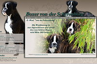 Boxer von der Scherenburg